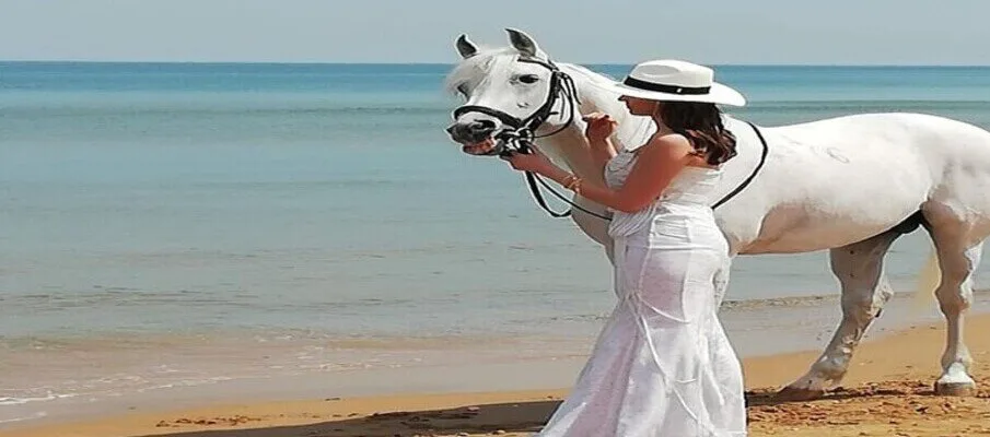 İstanbul Atlı Tur Sahil